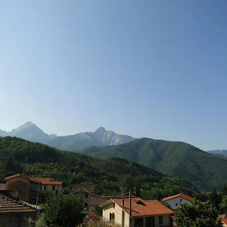Martini Vigneta